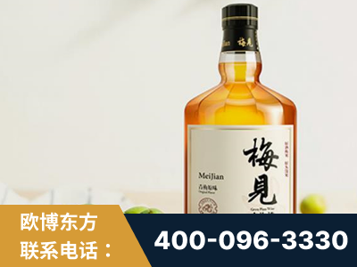 乐昌-梅见青梅酒